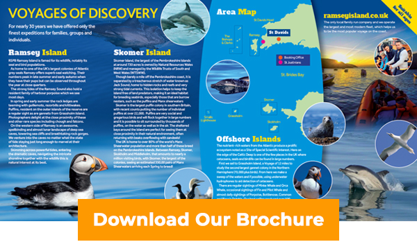 Download Voyages of Discovery Brochure